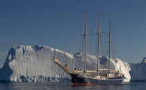 Диско Бэй — дом гренландских китов