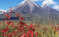 Живые вулканы. Тур на Камчатку